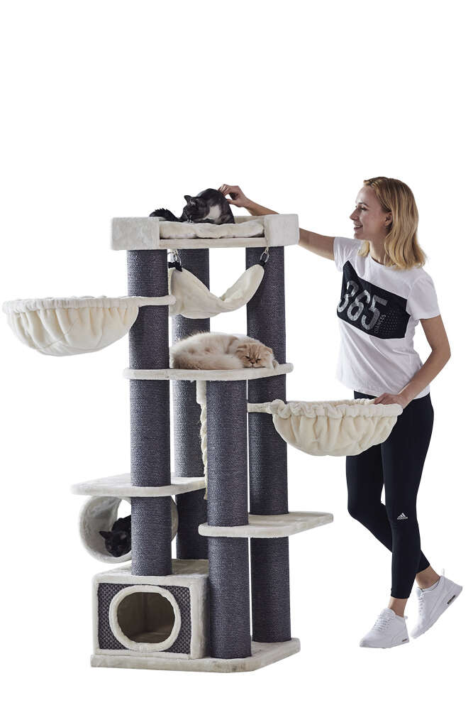 Nobby Kratzbaum Chilo